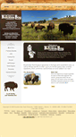 Mobile Screenshot of butcherboyfoodproducts.com